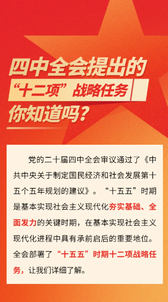 四中全会提出的“十二项”战略任务，你知道吗?